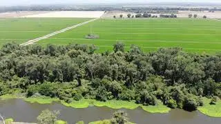 Video 3   Gill Ranch, Sutter Bypass