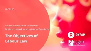 The Objectives of Labour Law