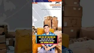 Sai m&atilde; HS Code: Rủi ro phạt thuế 20% v&agrave; c&aacute;ch tối ưu quy tr&igrave;nh th&ocirc;ng quan h&agrave;ng h&oacute;a nhập khẩu