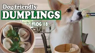 DUMPLINGS FOR MY DOG | Tutorial + Recipe | Pocky the Corgi (Vlog 18)