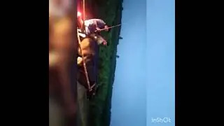 gorv.kenoni.vs.nakul.salmpur.gorv.kenoni.nai.mare.baji