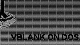VBLANK on DOS