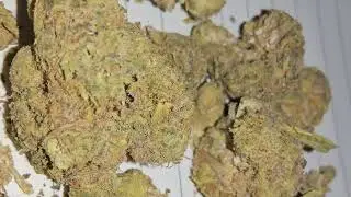 CLOSEUP Of Lumir L.A Kush Cake BUDS Medical Cannabis Strain FORTHEBUCK REVIEWS