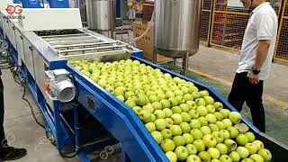 Apple Washing Waxing Sorting Production Line