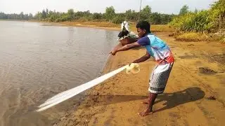 Net fishing is very hard and traditional river side cast viral net fresh net fishing video