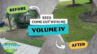 Bare Lawn to Lush Grass in 2 Weeks!? 🤯 Watch Us Transform This Yard! | #lawncare #landscaping 