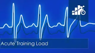 Acute Training Load | ATL | (2019)