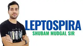 Leptospira II B Sc Nursing 1st  II Microbiology II Shubam Sir II