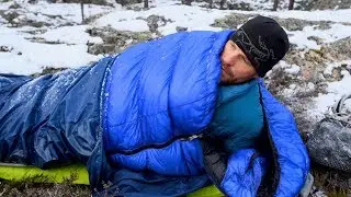 A Cold Night in the Wild