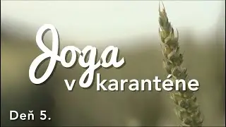 Deň 5. | Joga miesto fitka