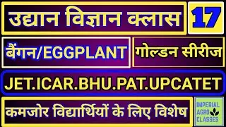 HORTICULTURE TOPIC BRINJAL EGGPLANT CROP TEST SERIES | BENGAN CROP ALL IMPORTANT QUESTIONS