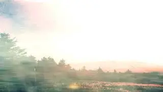 New day, new life - dreampop / indiepop