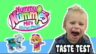 YUMMI NUMMIES & Paw Patrol Toys 