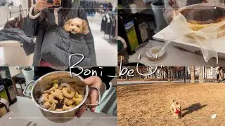 혼자사는 여자 하루 vlogㅣ토마토스프ㅣ바스크치즈케이크 ㅣ로제파스타ㅣ불고기샌드위치 ㅣ매일하는 동거견 산책🦮