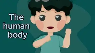 Parts of head (function) - The human body - 