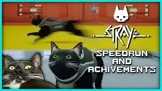 Stray but My Cat's got the Zoomies 〘 Speedrun and Achievements〙