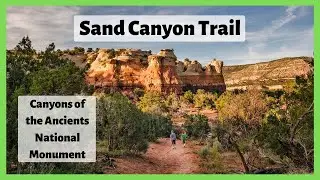 Possibly Our Worst Hike! | Sand Canyon Trail  | Canyons of the Ancients 🙄