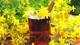 St. John's Wort - Reviews, Facts & Warnings - by Dr Sam Robbins