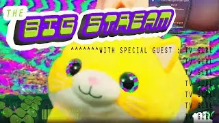 THE BIG STREAM #22 w/ TV Girl