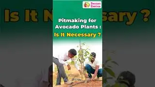 Deccan Exotics
