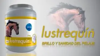 Suplementos nutricionales de Equinos Premex