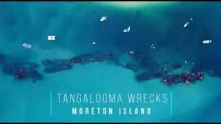 Tangalooma Wrecks 2020 Sailing, scuba diving, snorkelling and exploring - The Sailing Goldsmiths