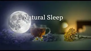 Natural Sleep Remedies That ACTUALLY Work Not Melatonin! 🌙
