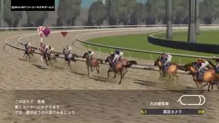 Winning Post 8 2017 東京大賞典 (GⅠ)