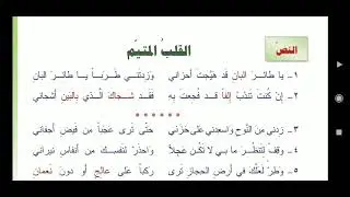 القلب المتيم للشاعر عنترة بن شداد العبسي