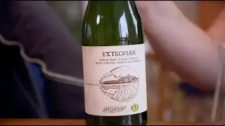 Mikkeller Beer Club [June 2019] HQ Kitchen Edition