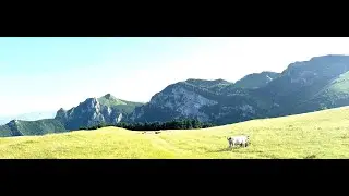 Aero club dei Sibillini 🦅 e Le Mascotte 🐄 🐮 Sarnano (MC)