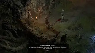Diablo IV Rogue - Feral Nature