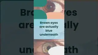 Here&rsquo;s something your eyes wish you knew! #eyecareforyou #eyecentre #eyecareservices