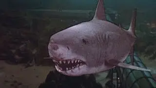 Jaws 3 Shark Death