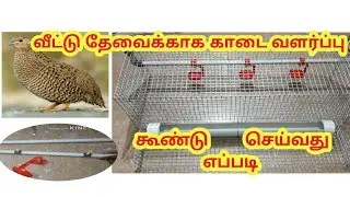 வீட்டு தேவைக்காக காடை வளர்ப்பு கூண்டு செய்வது எப்படி