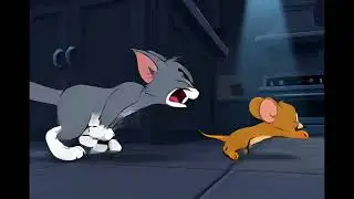 TOM AND JERRY | THE CHASE OF LOVE