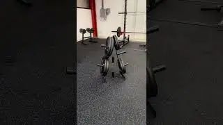 Body Power Olympic Weight Tree