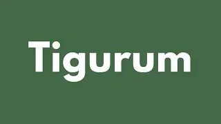 How Tigurum helps to save money
