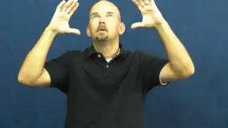 vision-image ASL