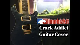 Limp Bizkit - Crack Addict - Guitar Cover