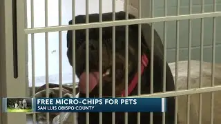 Woods Humane Society announces free microchip clinics for &ldquo;National Chip Your Pet Month&rdquo;