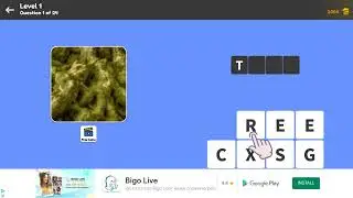 Zoom Quiz Level 1 Question 1