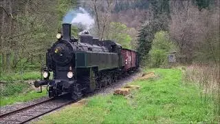 Kuckucksbähnel in Elmstein mit Dampflok 378.78: 01.05.2022