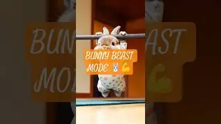 Bunny Beast Mode 🐰💪 | Pull-Up Pro in Action! #ai #cute #animal #aiart #rabbit #bunny #cutepets