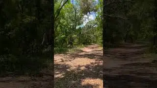 Florida Hike AFT 2024 🔥🆙 #florida #trevdevadventures #hiking