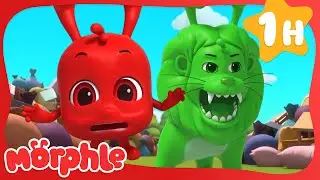 Green Lion Finds Morphle! 🟢🦁 | Fun Animal Cartoons | @MorphleTV  | Learning for Kids