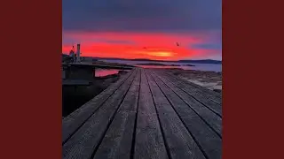 Summer Rewind