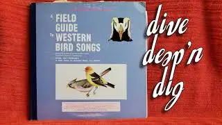 The Peterson Field Guide Series - Cardinal