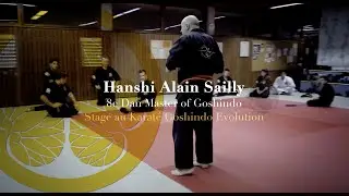 Stage avec Hanshi Alain Sailly 8e Dan Goshindo au club Karaté Goshindo Evolution Geneve