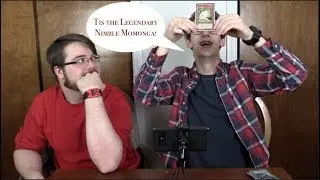 Lunatics Open Card Bundles and Praise Woodland Creature- Yu-Gi-Oh Card Opening